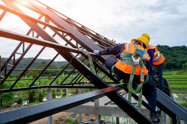 Best Roof Gutter Cleaning  in Woodbury, TN