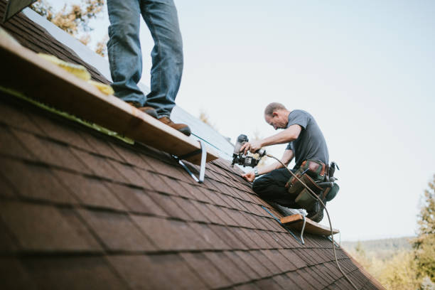 Best Gutter Installation and Roofing  in Woodbury, TN